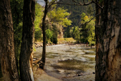 Poudre River 2