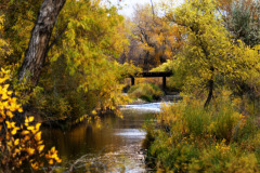 Poudre River 1