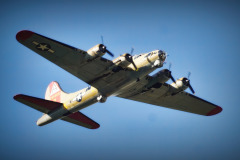 B-17